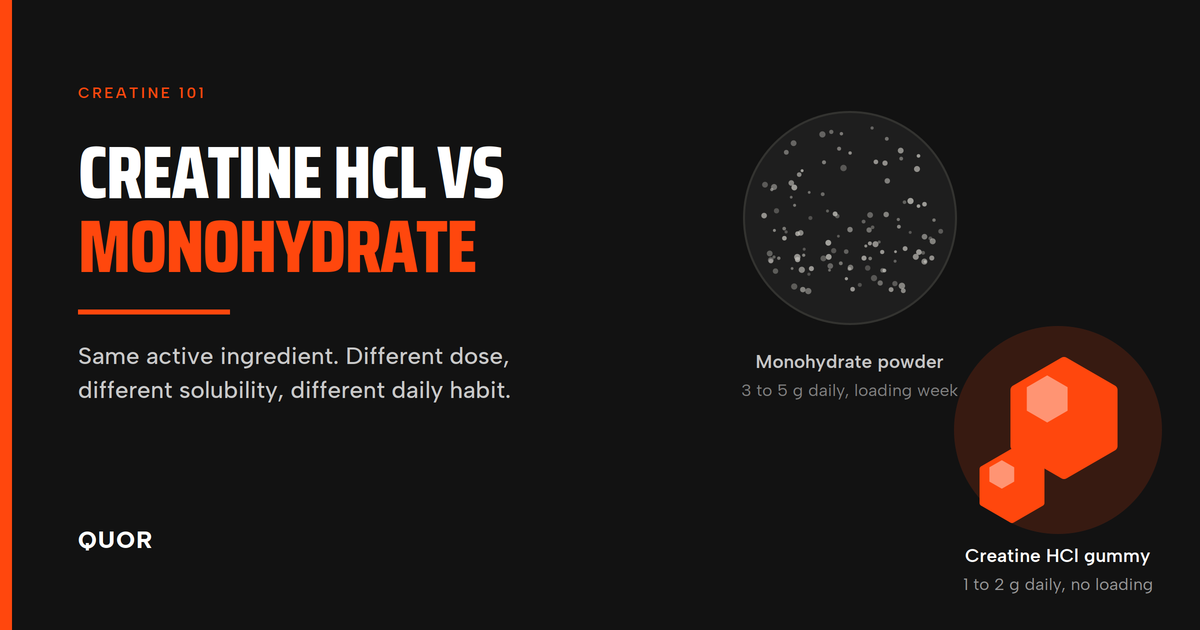 creatine hcl vs monohydrate