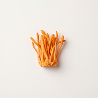 Cordyceps mushroom