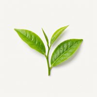L-Theanine from green tea