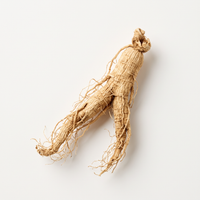 Ginseng root
